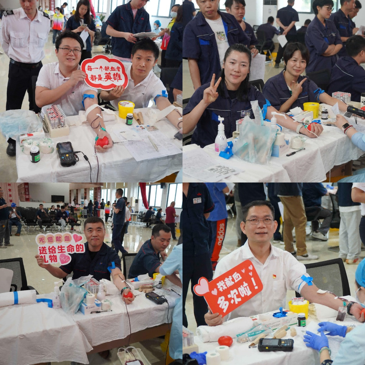 乐鱼网站(中国)leyu·官方网站
