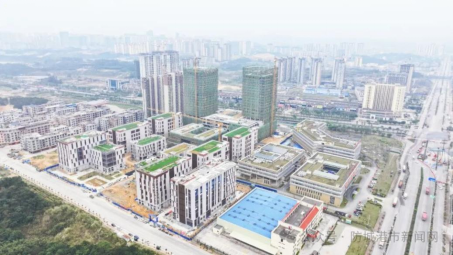 乐鱼网站(中国)leyu·官方网站