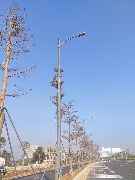 乐鱼网站(中国)leyu·官方网站